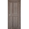 Дверное полотно SC-01