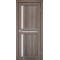 Дверное полотно SC-02