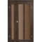 Дуб марсала / Стекло сатин бронза Дверное полотно TR-04
