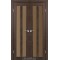 Дуб марсала / Стекло сатин бронза Дверное полотно TR-05