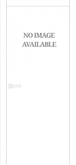 Дверное полотно IN-02